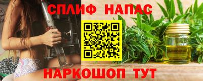 ешки Новодвинск