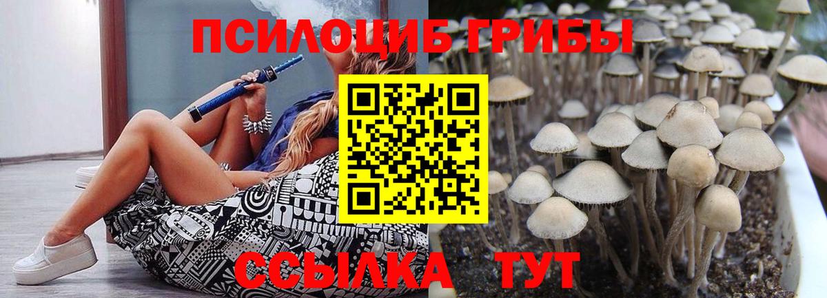 Галлюциногенные грибы MAGIC MUSHROOMS Тихвин