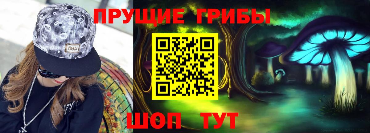 Псилоцибиновые грибы GOLDEN TEACHER  Псилоцибиновые грибы мицелий  наркошоп  Вход с VPN  Тихвин 